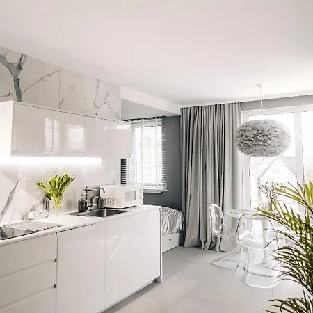 Apartament Gray